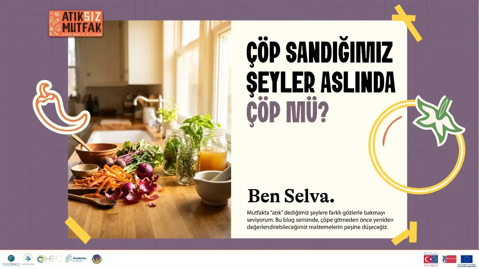 selva_blog