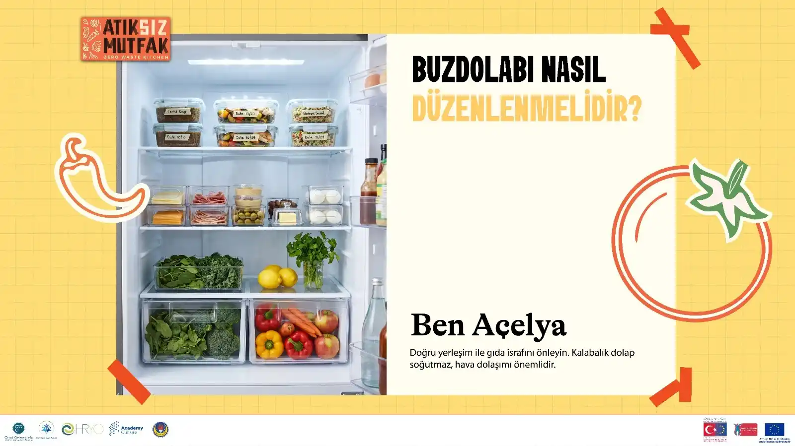 acelya_blog_
